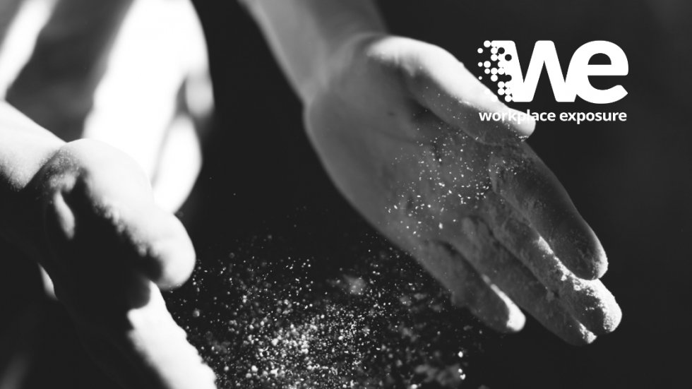 Health and Safety in Bakeries Workplace Exposure Ltd